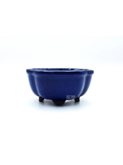 Tiesto flor/mokko 12 cm azul 13452/16