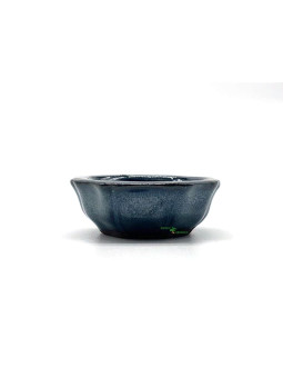 maceta bonsai