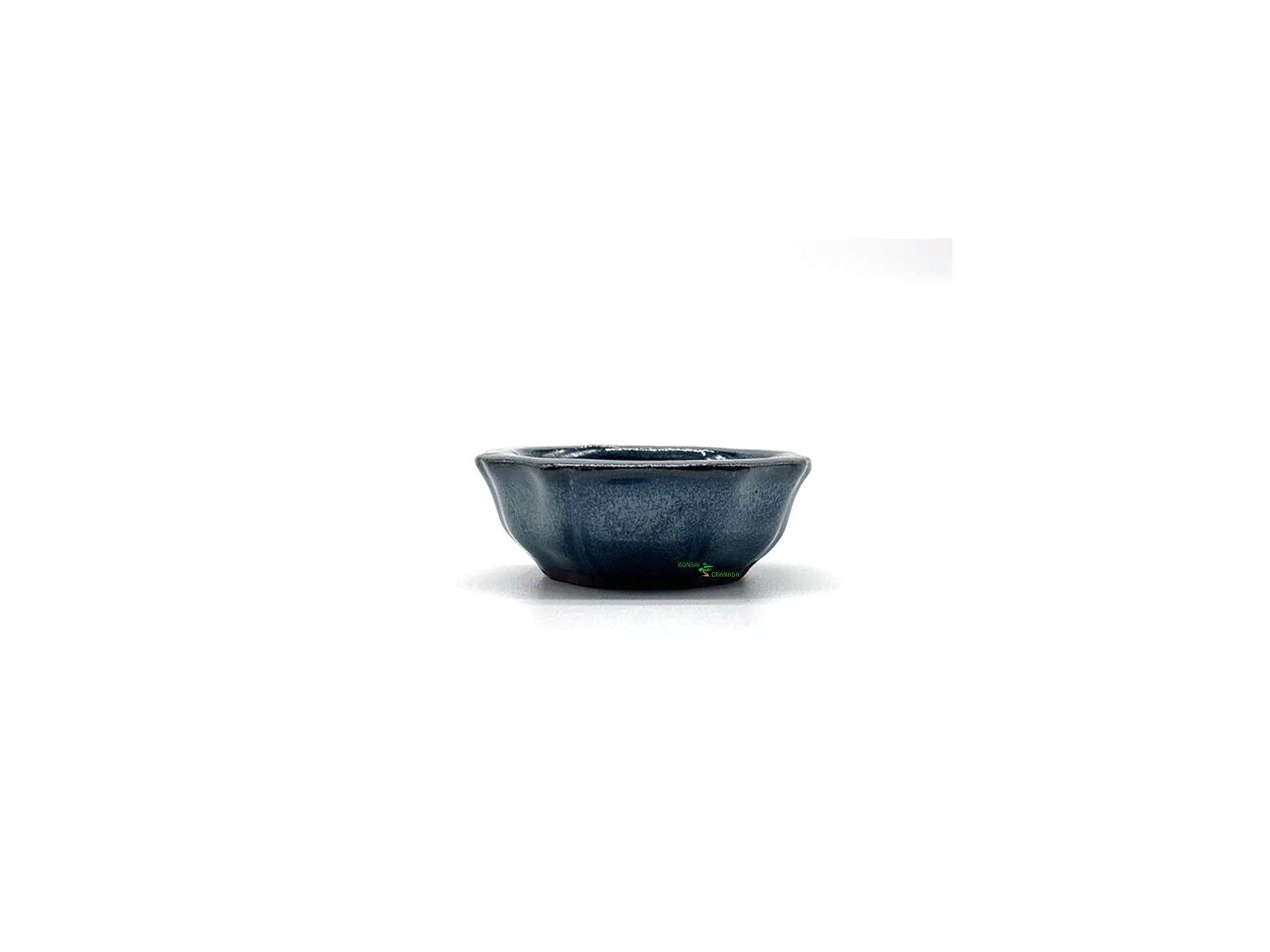 maceta bonsai