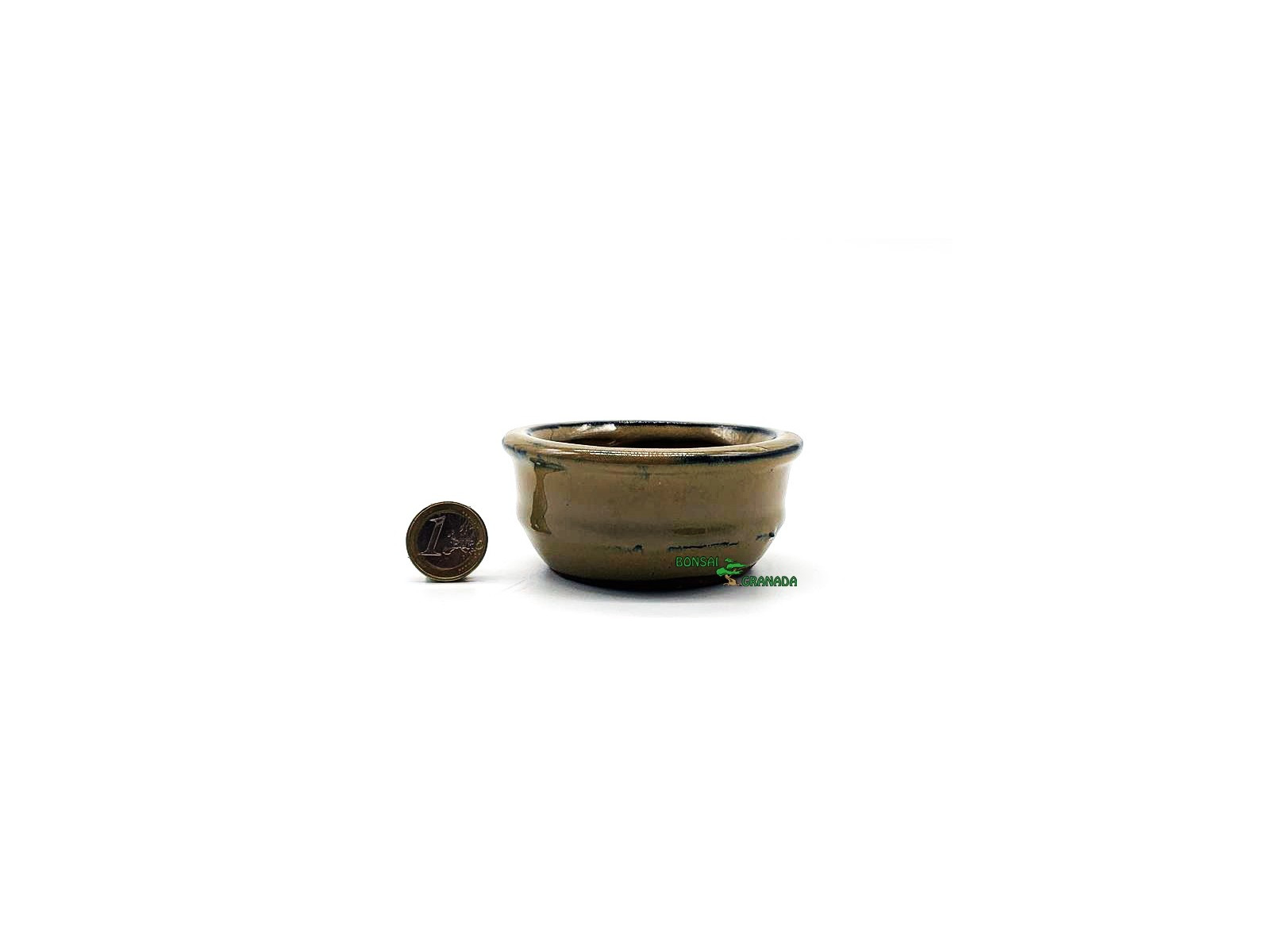 tiesto bonsai