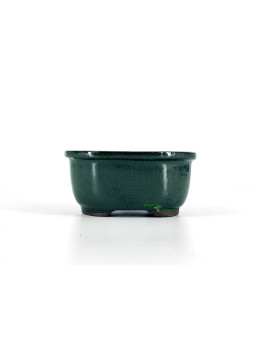 maceta bonsai