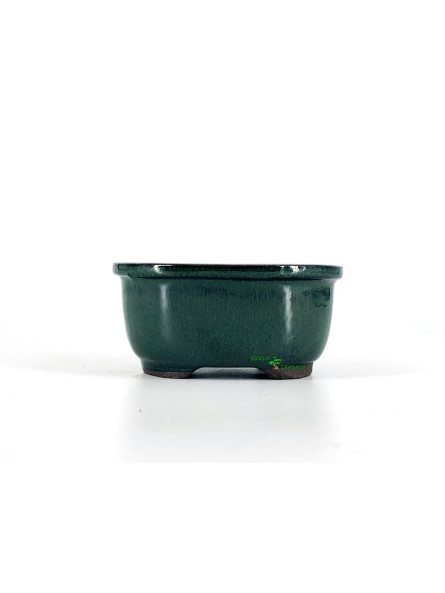 maceta bonsai