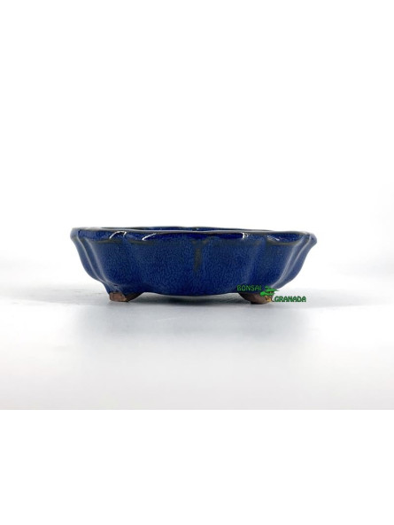 Tiesto redondo bonsai 13.5 cm azul 79659