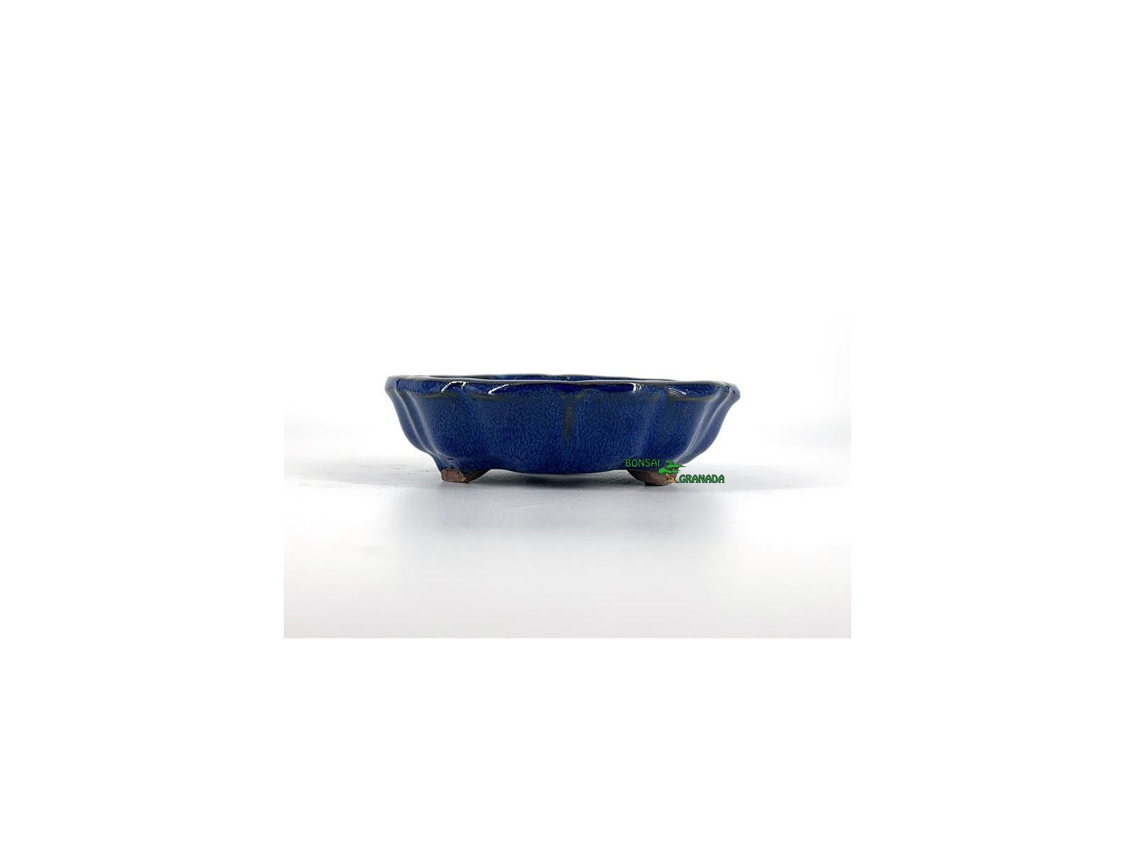 Tiesto redondo bonsai 13.5 cm azul 79659