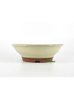 maceta bonsai