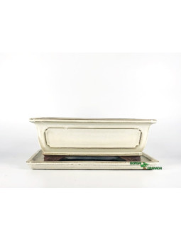 maceta para bonsai
