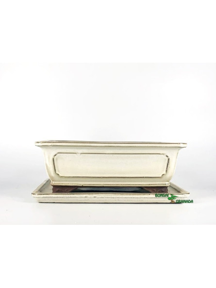 maceta para bonsai