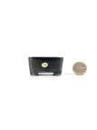 Tiesto rectangular 5.6 cm azul Seto 54810/8 para bonsai