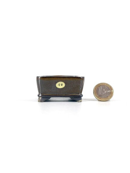 Tiesto rectangular 5.5 cm marrón Seto 54810/10 para bonsai