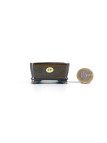 Tiesto rectangular 5.5 cm marrón Seto 54810/10 para bonsai