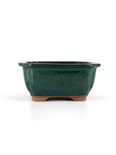 Tiesto rectangular 16 cm verde 23601