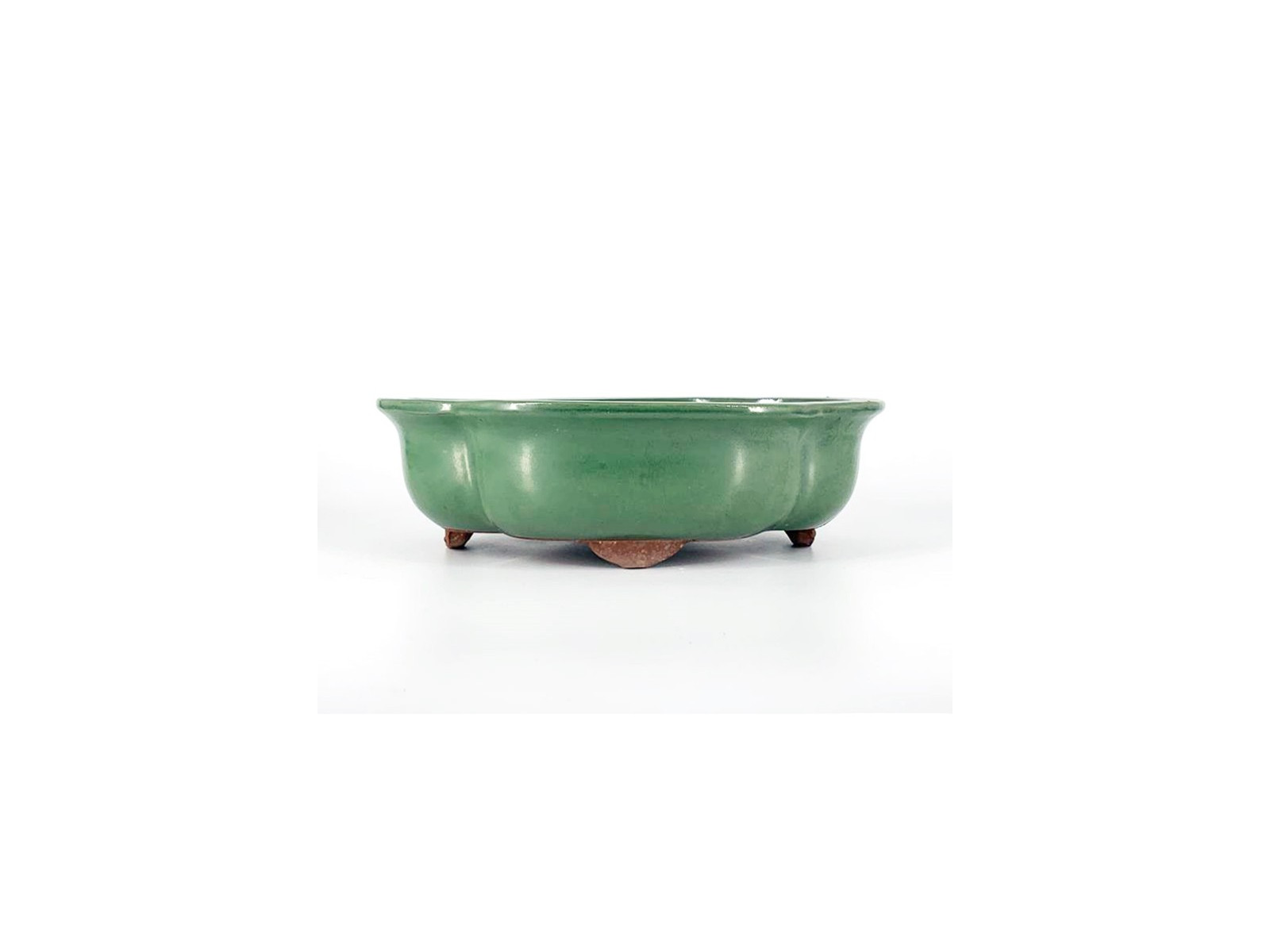 Tiesto flor 30 cm verde 13737/19