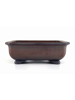 maceta para bonsai