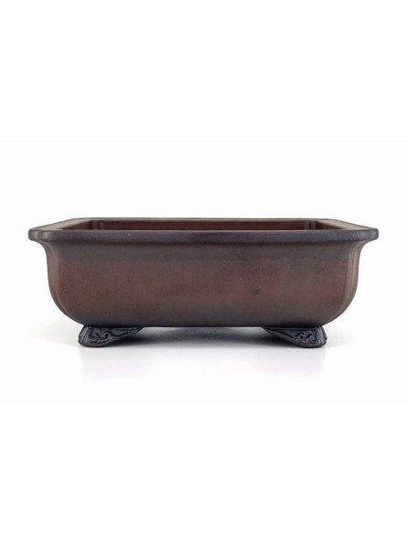maceta para bonsai