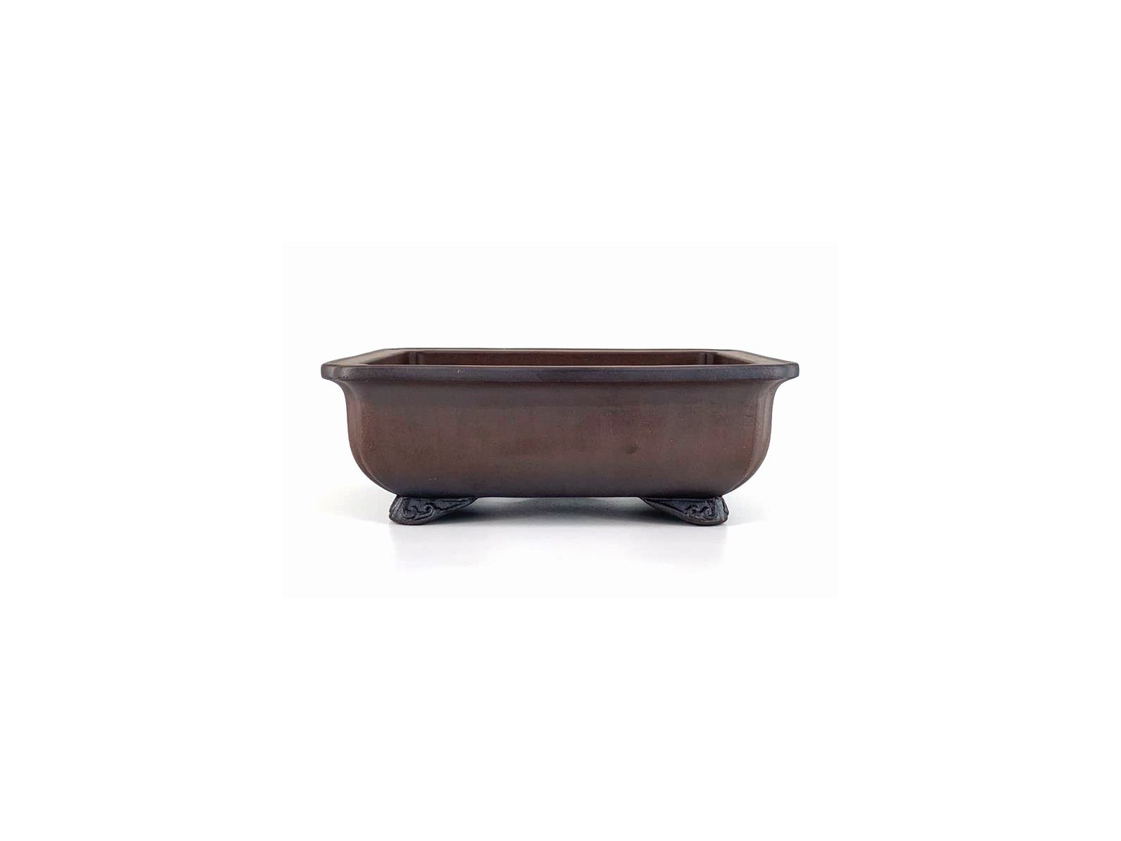 maceta para bonsai