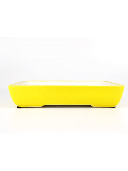 Tiesto rectangular 24 cm amarillo Yixing 12064