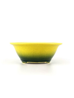 maceta redonda para bonsai