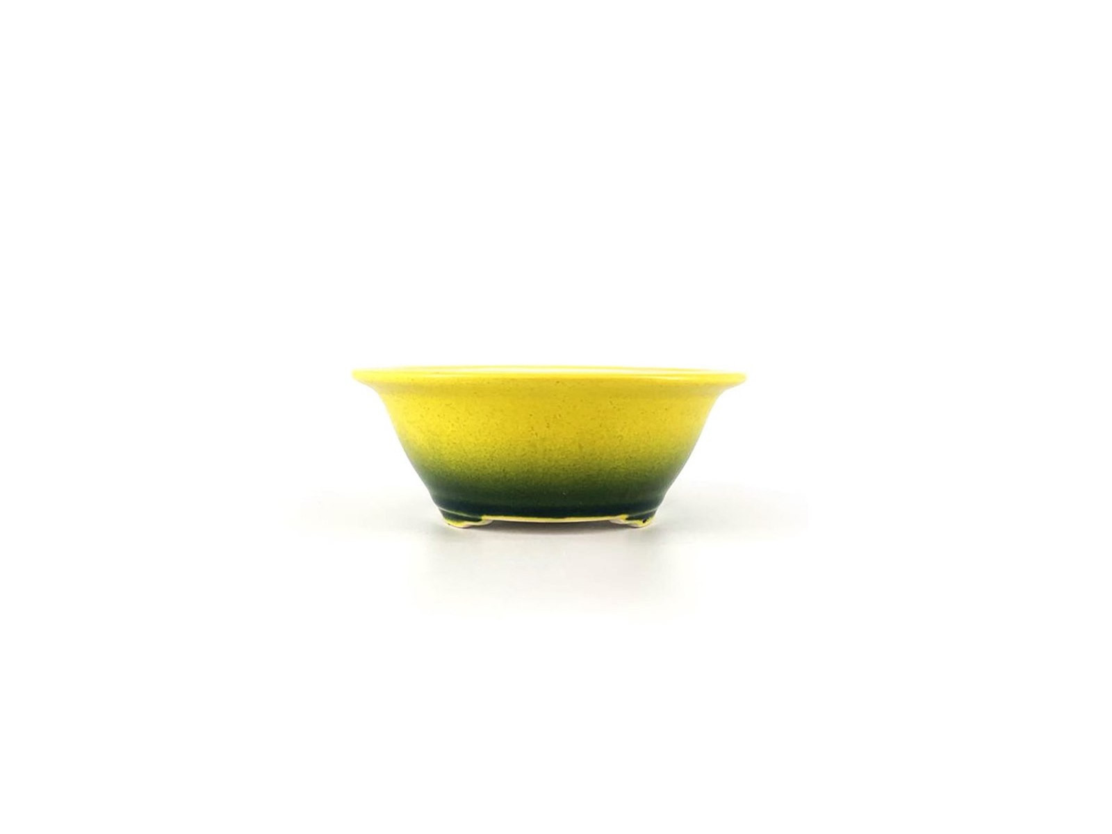 maceta redonda para bonsai