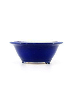 maceta para bonsai