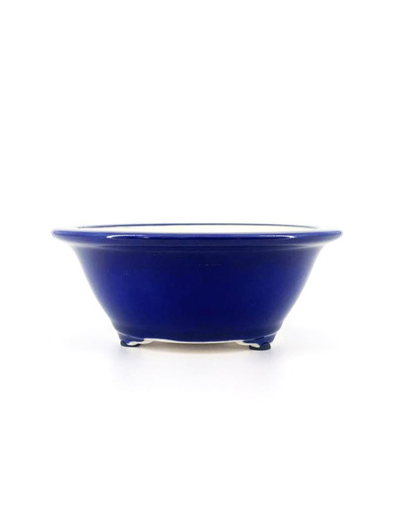maceta para bonsai