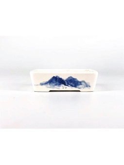 maceta de bonsai