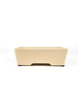 maceta para bonsai crema