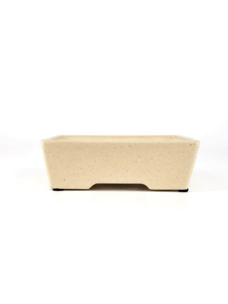maceta para bonsai crema