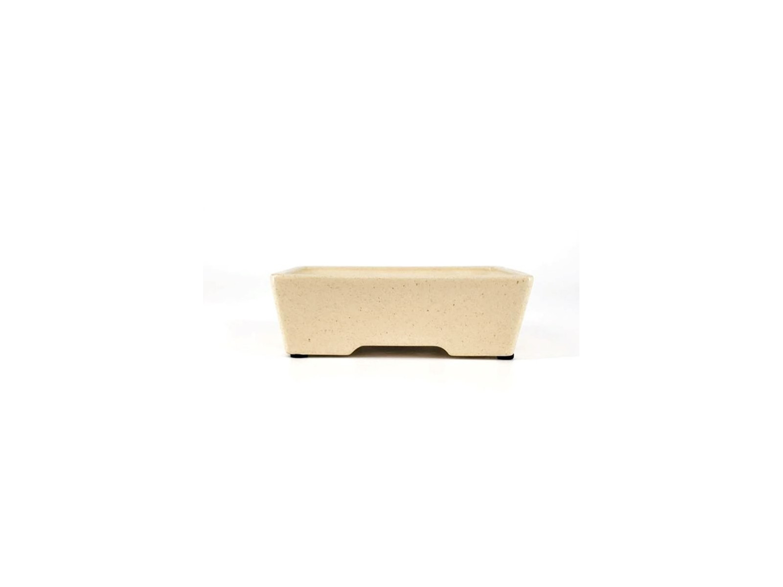 maceta para bonsai crema