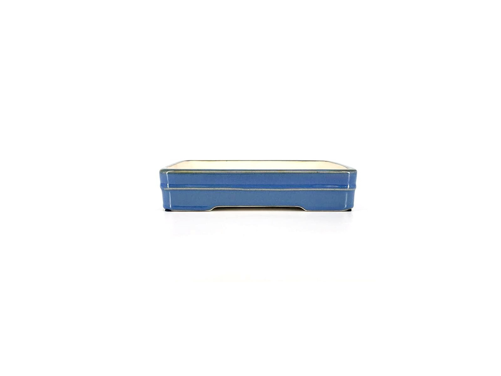 maceta para bonsai