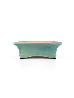 maceta para bonsai