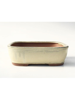 Tiesto rectangular 21 cm crema