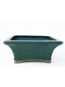 Tiesto rectangular 15.5 cm verde Seto para bonsai