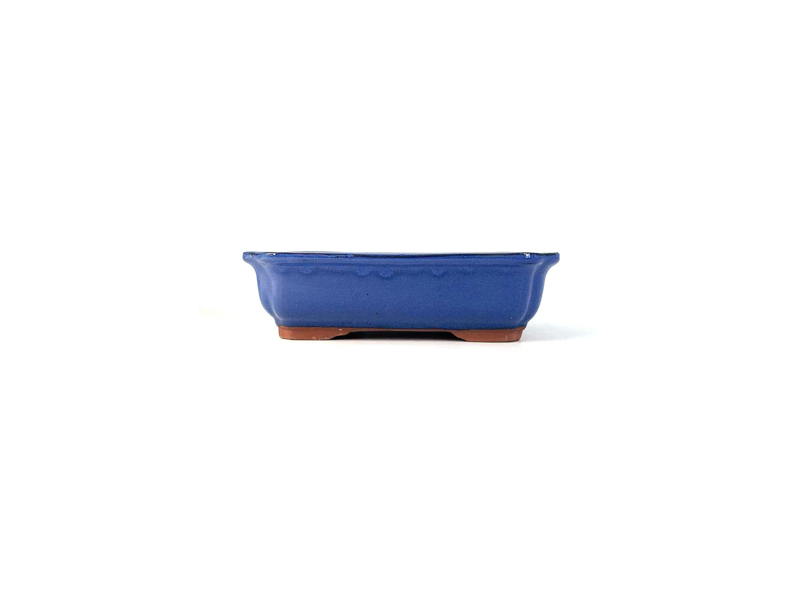 Tiesto rectangular 21,5 cm  18262 azul