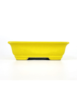 Tiesto rectangular 16,5 cm  18339 Yixing amarillo