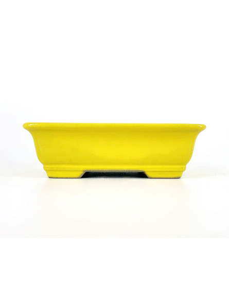 Tiesto rectangular 16,5 cm  18339 Yixing amarillo