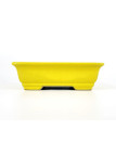 Tiesto rectangular 16,5 cm  18339 Yixing amarillo