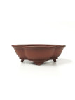 Tiesto flor//mokko 19.5 cm Yixing 14589 sin esmaltar bonsai