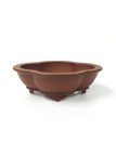 Tiesto flor//mokko 19.5 cm Yixing 14589 sin esmaltar bonsai