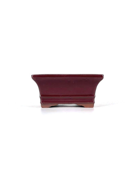 Tiesto rectangular 11 cm 13452/25 color vino