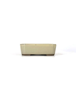 Tiesto rectangular 10,5 cm 13731/56 crema