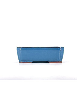 Tiesto rectangular 19 cm azul BG209/2