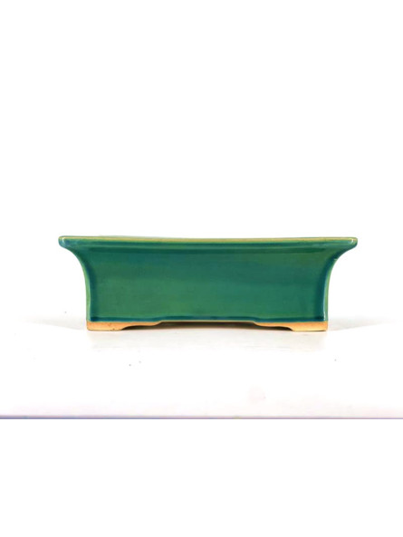 Tiesto rectangular 27 cm verde BG250/1