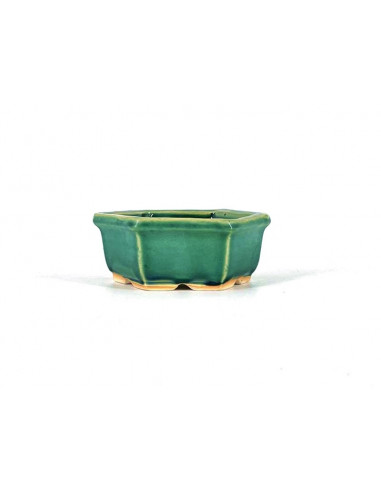 Tiesto hexagonal 12,5 cm verde BG243
