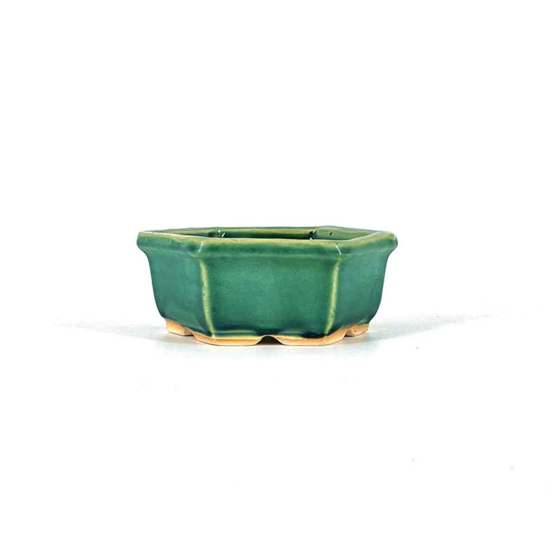 Tiesto hexagonal 12,5 cm verde BG243