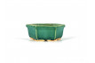 Tiesto hexagonal 12,5 cm verde BG243