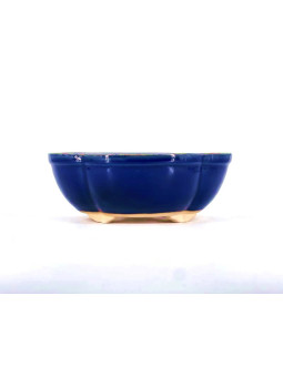 Tiesto flor 22.5 cm azul BG252/2