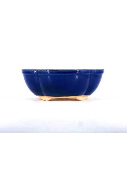 Tiesto flor 22.5 cm azul BG252/2