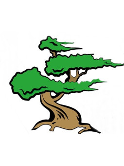 Vales curso iniciacion