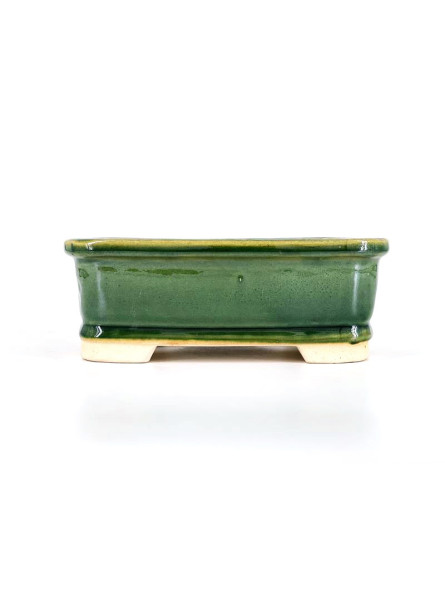 Tiesto rectangular 21 cm 18371/2 verde