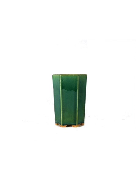 Tiesto hexagonal cascada 11 cm verde BG235